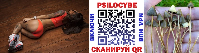 Псилоцибиновые грибы Cubensis  наркотики  blacksprut онион  Шумиха 
